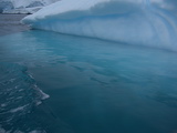 Trkisfarbiges Wasser am Eisberg