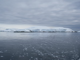 Foyn Harbour