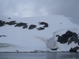 Unser Aufstieg zum Gipfel von Cuverville Island