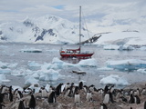 Die Sarah W. Vorwerk vor der Antarktisstation Gonzlez Videla