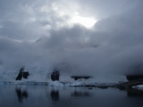 Booth Island im Morgennebel