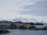 Blick von Yalour Island auf das antarktische Festland im Sden