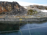 Vertut in Stella Creek, Frischwasser vom Gletscher