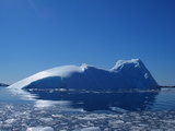 Eisberge zwischen den Melchior Islands