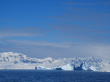 Eisberge in der Dallmann Bay