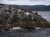 Seelweninsel bei Faro Les Eclaireurs