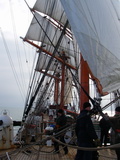 Die Sedov mit gesetzten Mars- und Stengestagsegeln